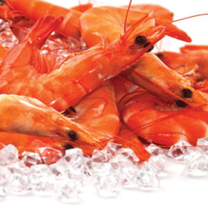 PRAWN SHELFISH
